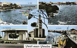 Port aux poules 605